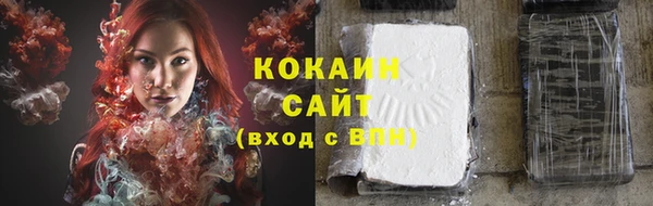 стаф Вязьма