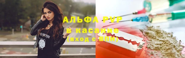 шишки Вязники