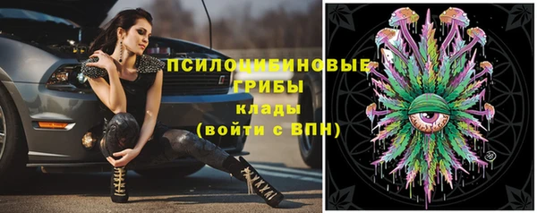скорость Гусев