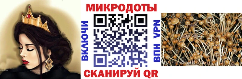 Купить закладки  Ленинск-Кузнецкий  Псилоцибиновые грибы GOLDEN TEACHER 
