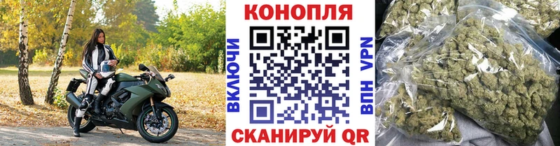 Купить закладки  Ленинск-Кузнецкий  Бошки марихуана Amnesia 